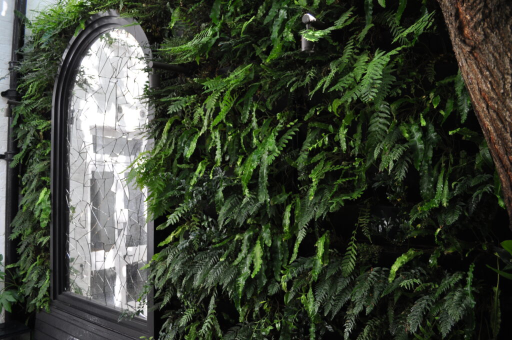 Outdoor mirror feature