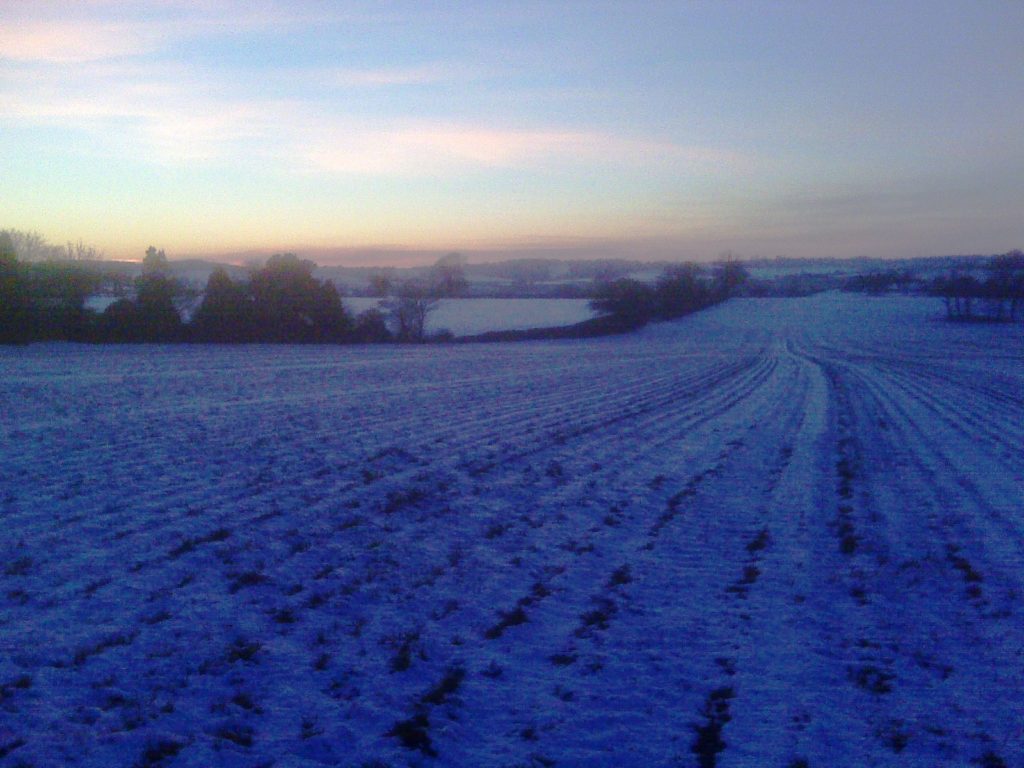 A landscape transformed by snow