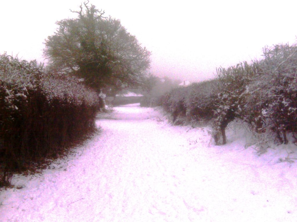 This normally muddy footpath is transformed by the snow. Look how the pinks and mauves in the low sunlight are reflected in the snow