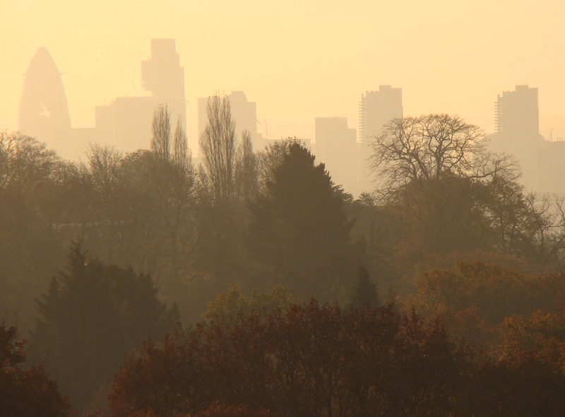 147909d1391704616-i-tree-eco-project-london-dsc01803