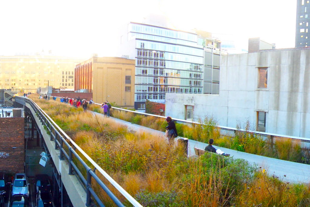 Herbaceous planting on the Hi-Line