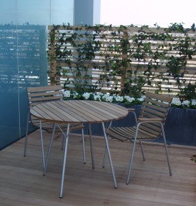 Trellis fixed to balustrade (11th Floor)