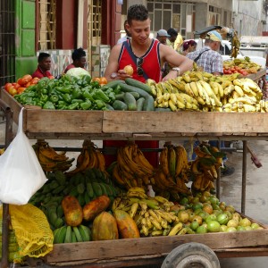Fruit and vegetable stalls are on almost every corner in Havana
