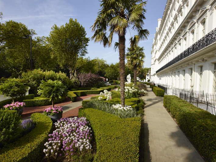 A view looking west down the garden