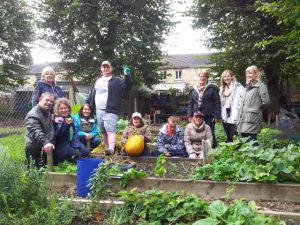 Allotment 2014-10-23-14_30_10