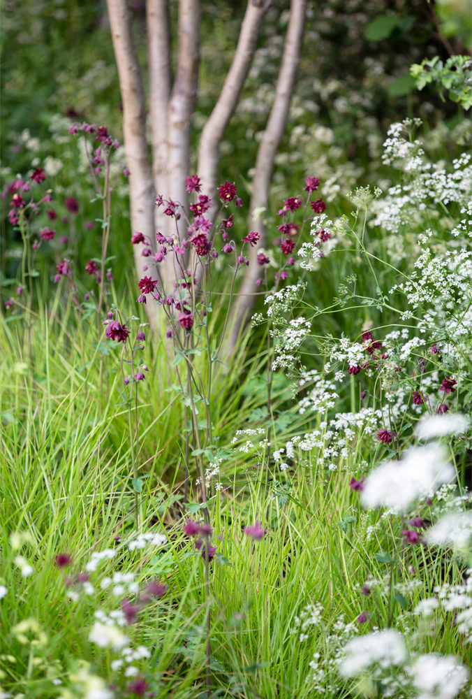 flower detail chelsea 2019