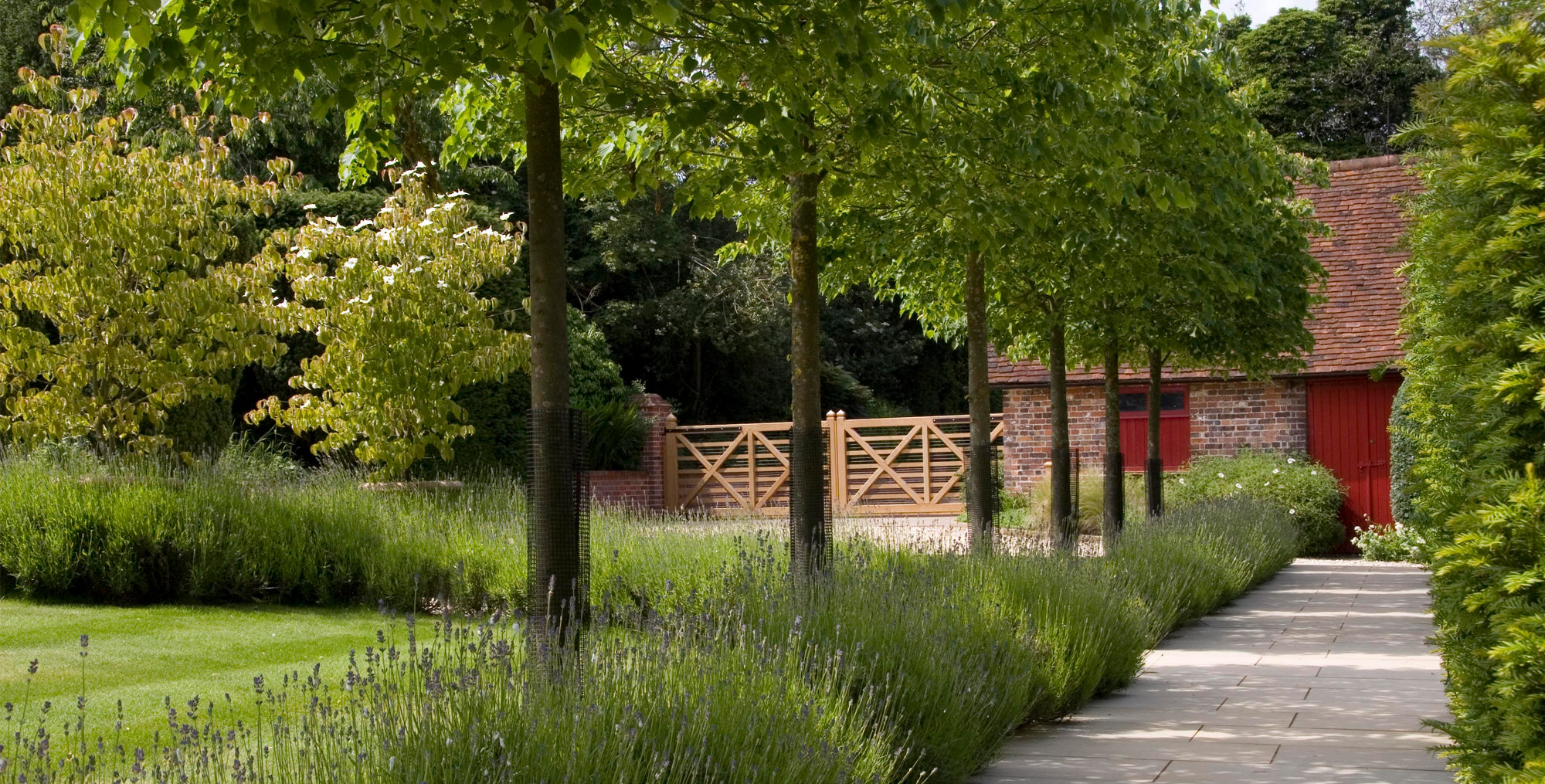 Avenue of trees Gaddesden