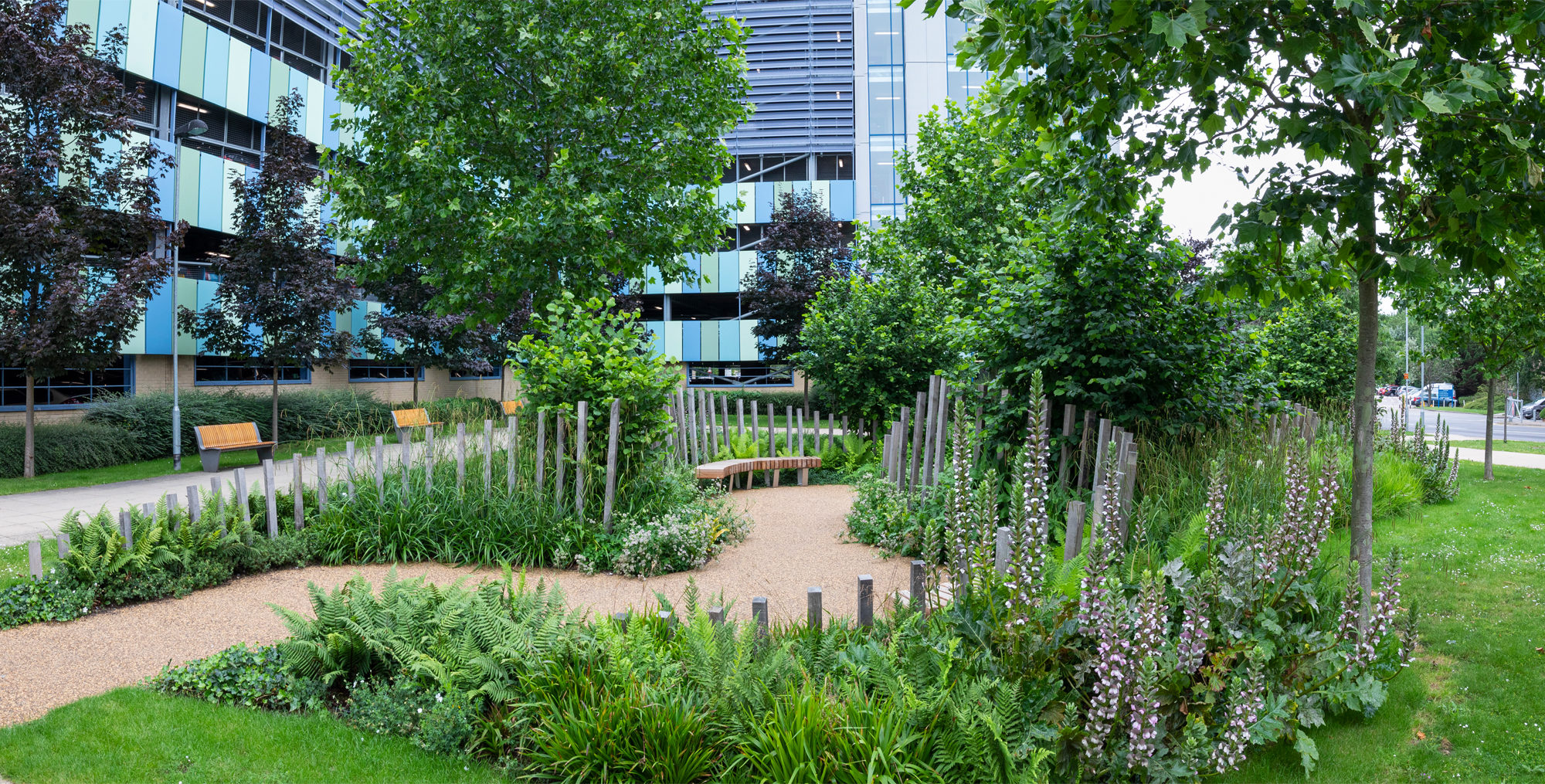 nhs 70 garden