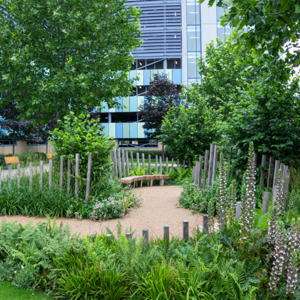 nhs 70 garden