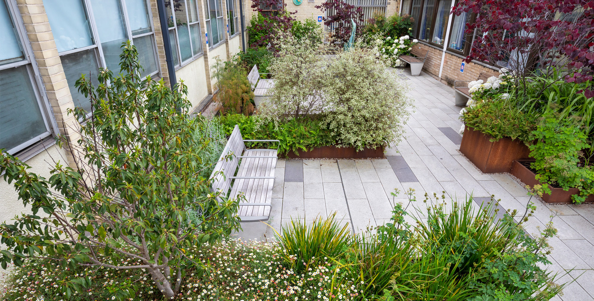 outpatients courtyard