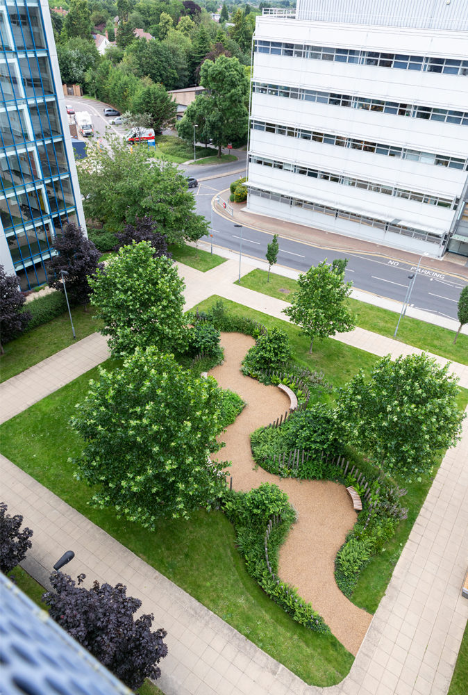 nhs 70 garden aerial shot