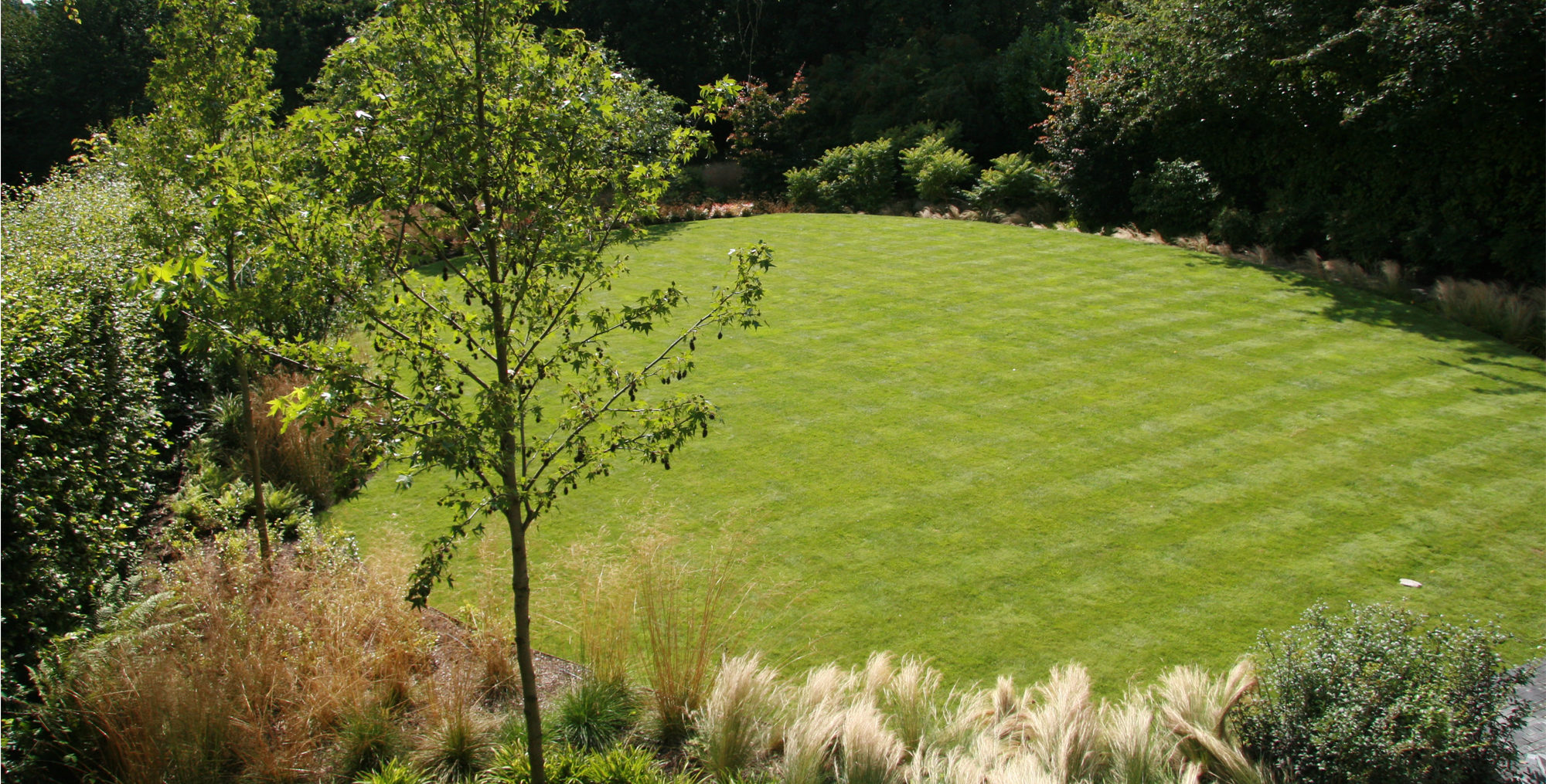 berkhamsted lawn