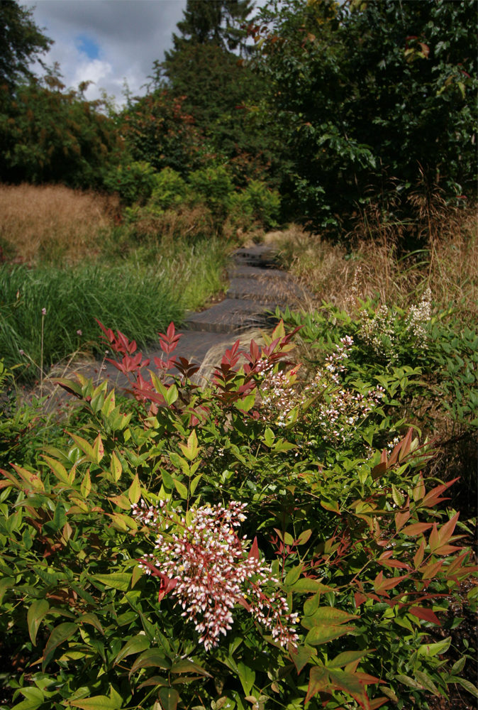 planting detail berkhamsted