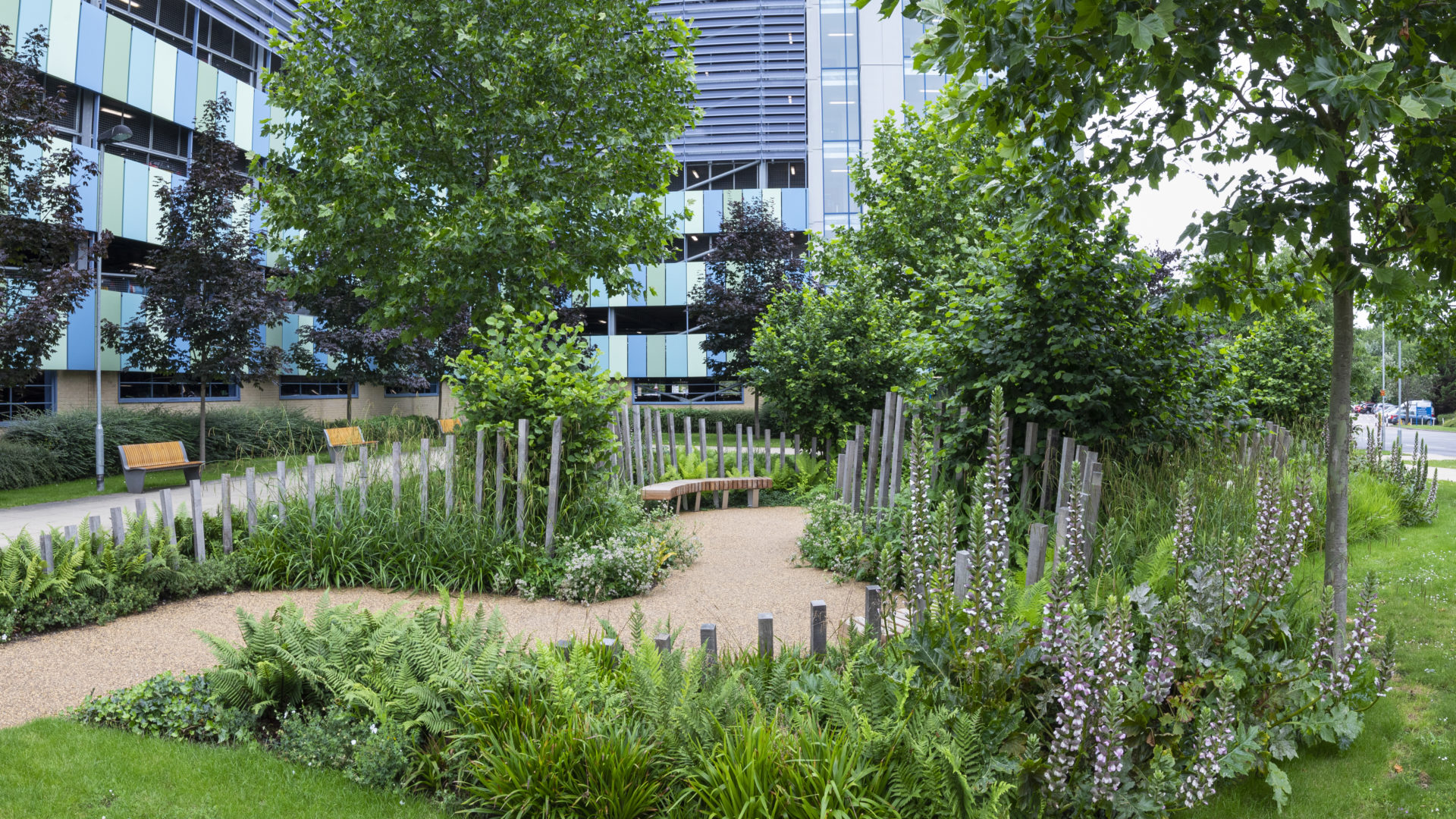 addenbrookes nhs 70 garden panorama