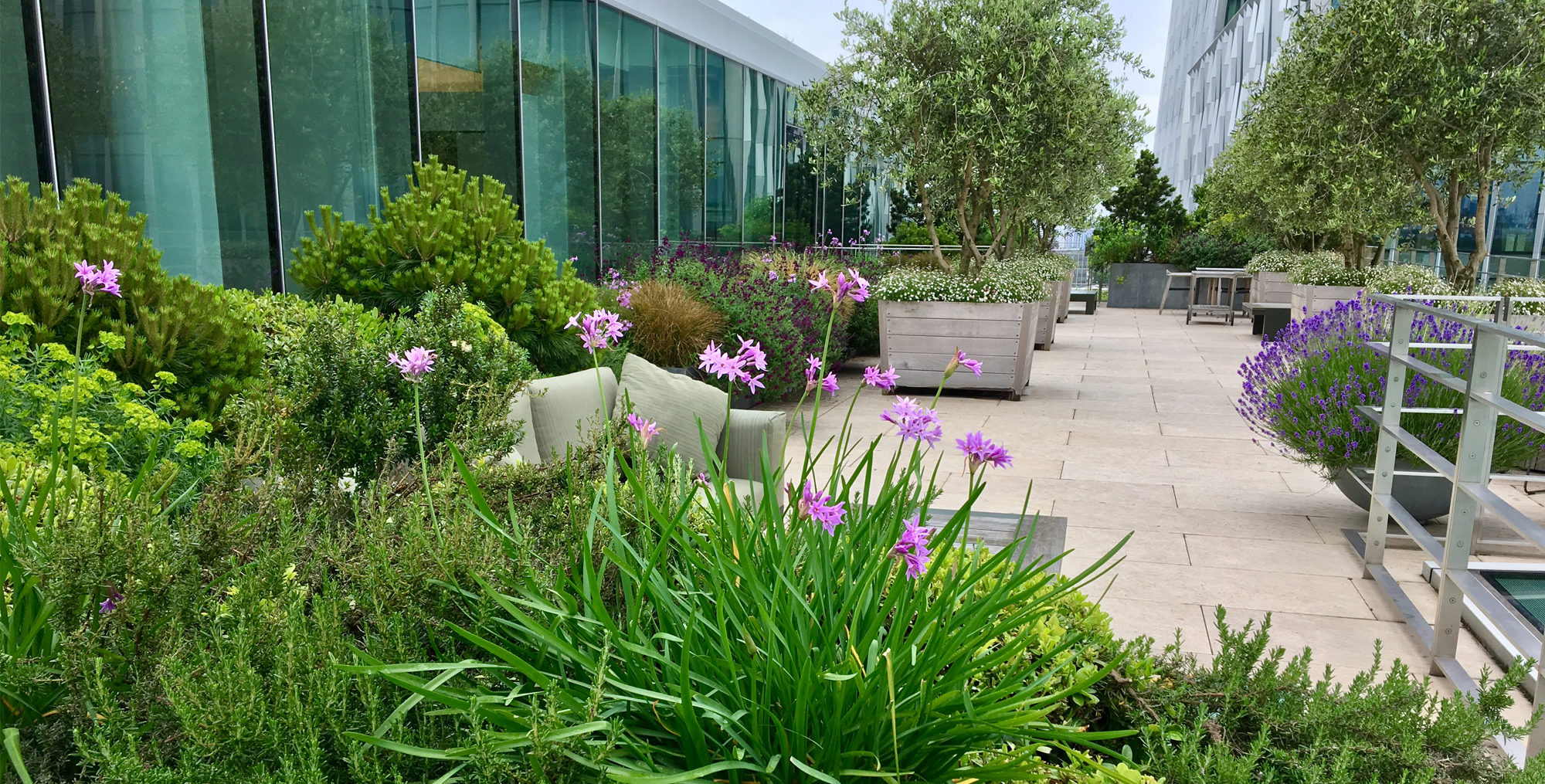 roof terrace vista