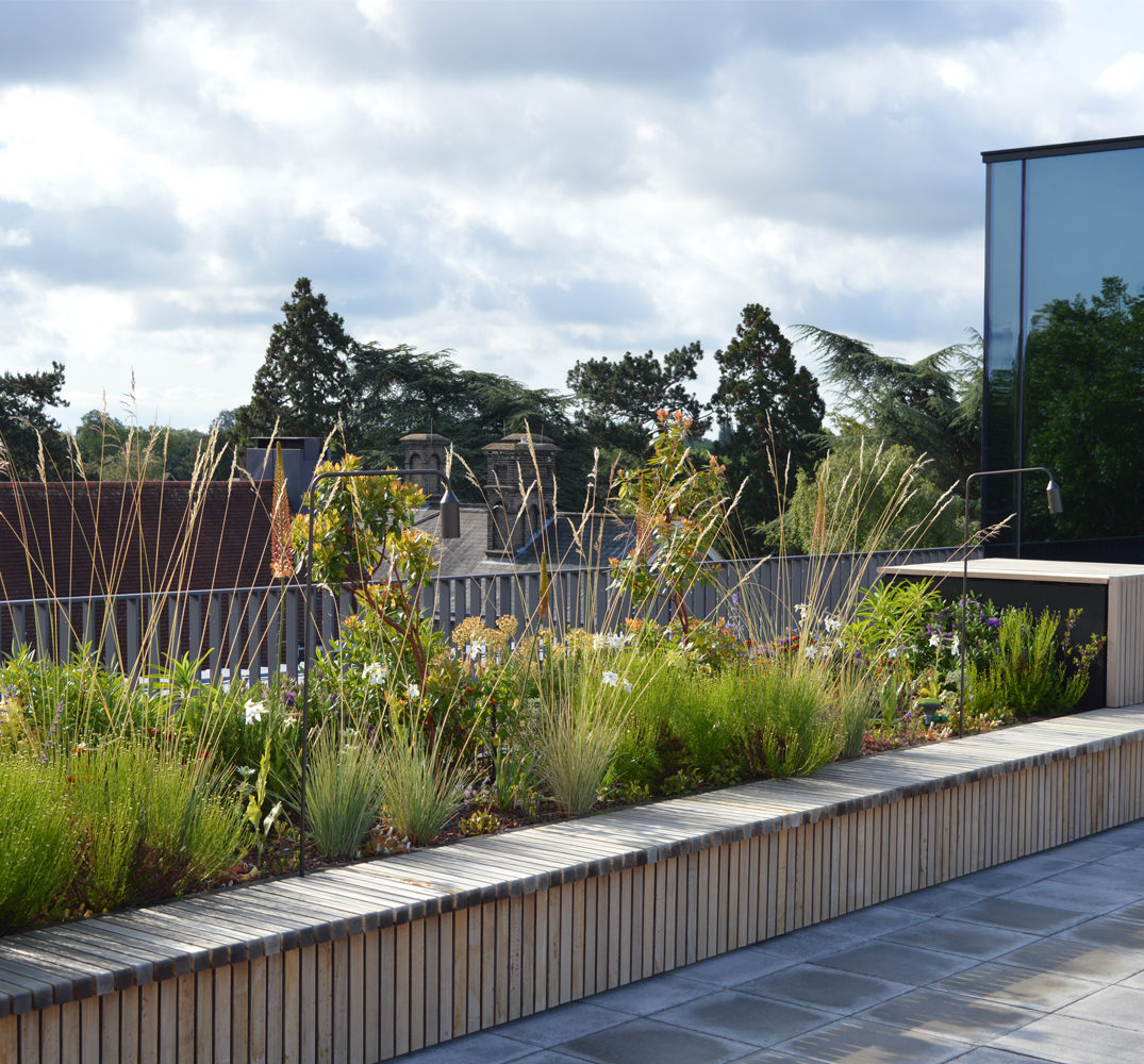 Newnham college roof terrace