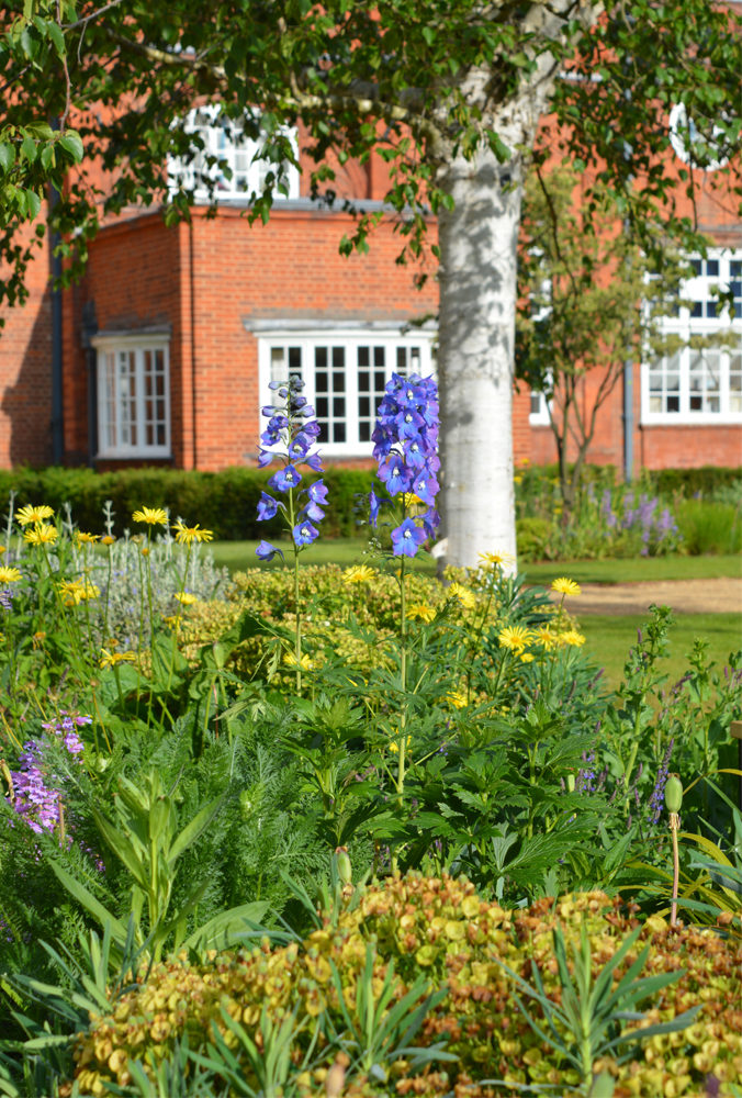 newnham college planting detail