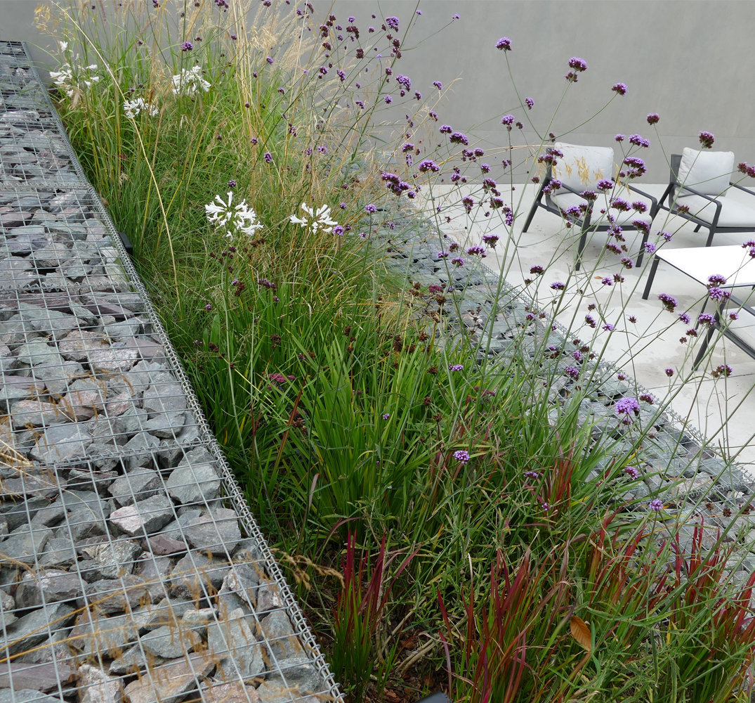 gabion planting