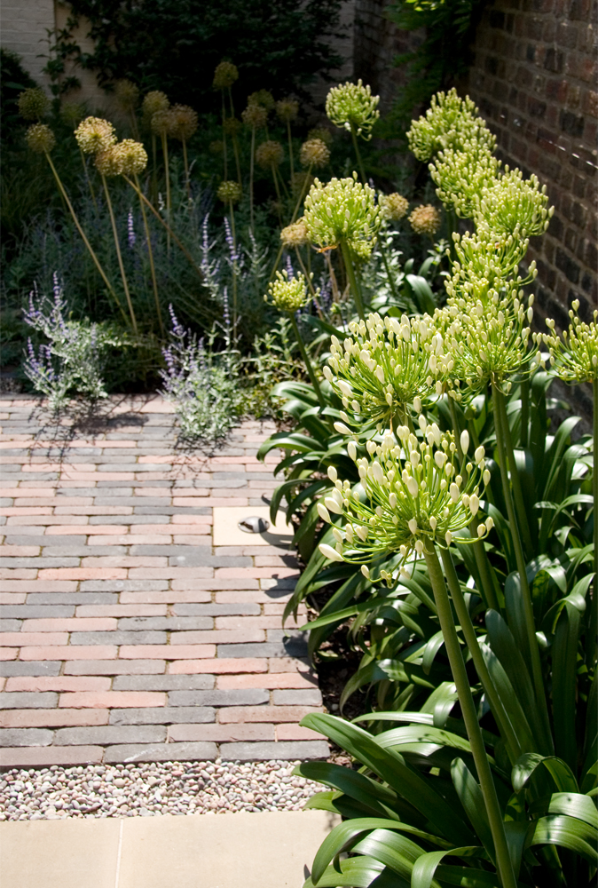 planting and paving
