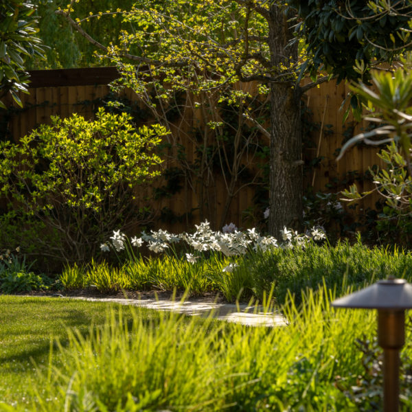 Discover our blog from plants, to plans, business and