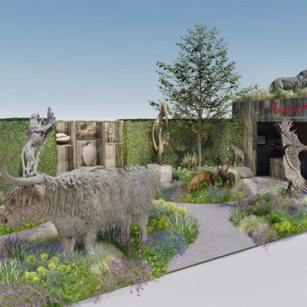 visual concept drawing of a Hamish Mackie chelsea flower show stand built by bowles & wyer