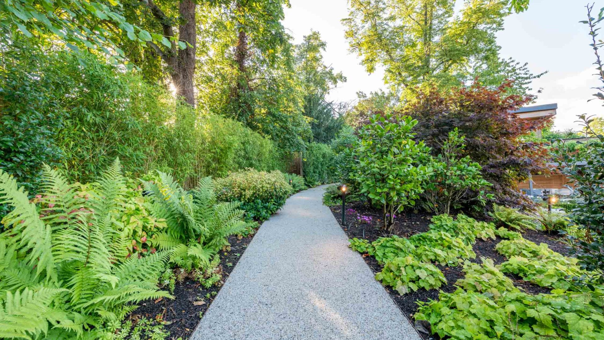 An image of a gravel/rock pathway