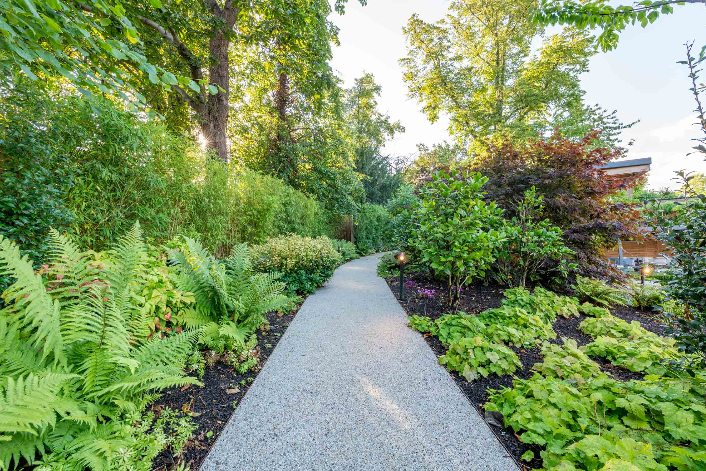 An image of a gravel/rock pathway