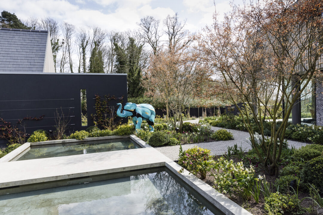 an image of a pool and blue elephant garden ornament