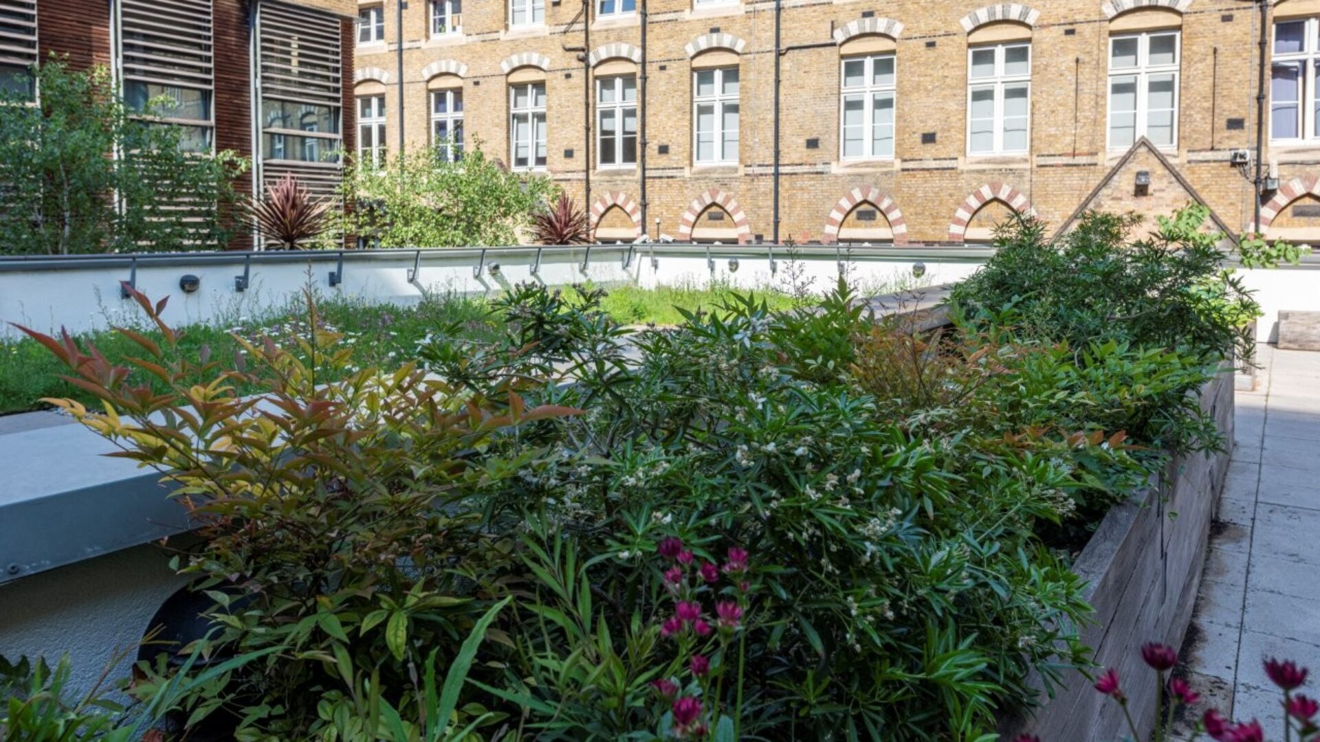 An urban roof garden for a city centre school