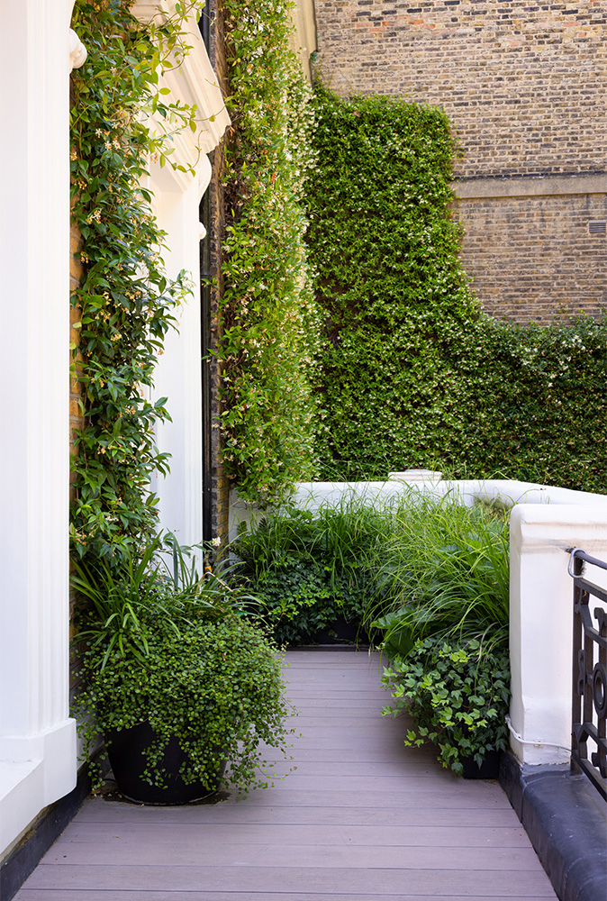 Naturalistic planting urban garden London